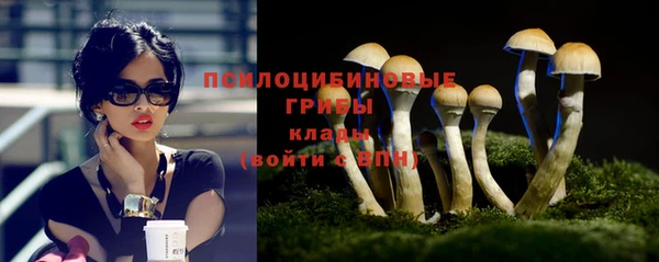 винт Армянск